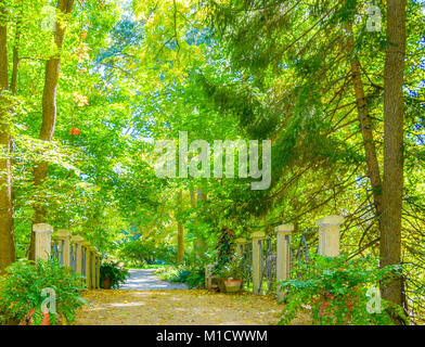 Eine Brücke wird geworben von Bäumen und Pflanzen. Die sonnen Glühen beleuchtet die Bäume über einen Wanderweg durch einen wunderschönen Park. Stockfoto
