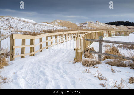 Boardwalk über den Sumpf in der dunelands des PEI National Park, Kanada. Stockfoto