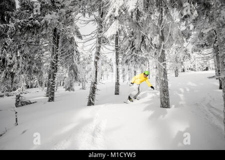 Mann, ein Snowboard in den verschneiten Wald Stockfoto