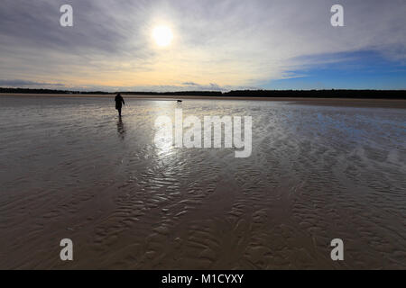Frau und ein Hund auf dem nassen Sand von holkham Bay an der nördlichen Küste von Norfolk. Stockfoto