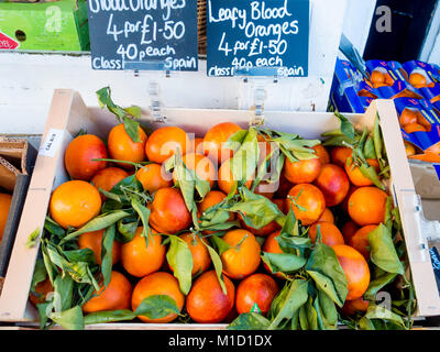 Eine Anzeige der Grünen Blutorangen Citrus sinensis aus Spanien in einem North Yorkshire Gemüsehändler shop Stockfoto