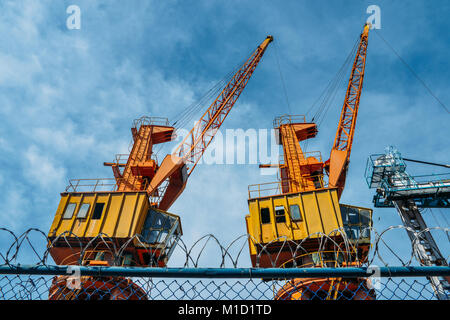 Riesige Kräne in einem Hafen, Logistik Konzept über Sicherheit Stacheldraht Stockfoto