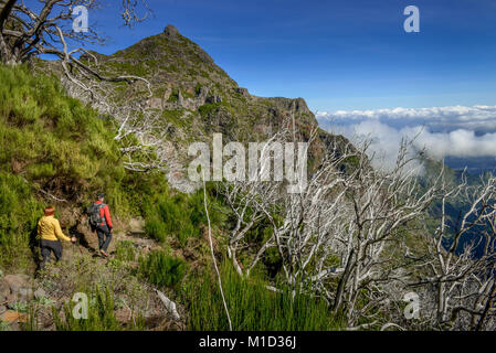 PR1 Wanderweg vom Pico Do Arieiro zum Pico Ruivo, Madeira, Portugal, Wanderweg PR1 vom Pico Do Arieiro zum Pico Ruivo Stockfoto