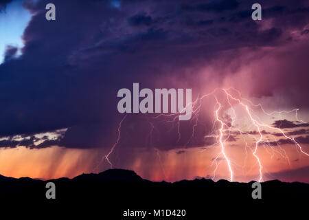 Blitzeinschläge bei Sonnenuntergang in einem Gewitter über der Wüste von Arizona Stockfoto