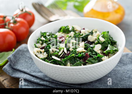 Warme kale Salat mit braunem Reis und Cranberry Stockfoto