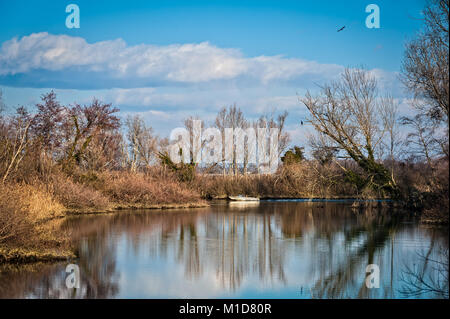 Natur Szene. See, Boot, Bäume, Schilf und Kormorane vor blauem Himmel. Reflexion auf dem Wasser. Stockfoto