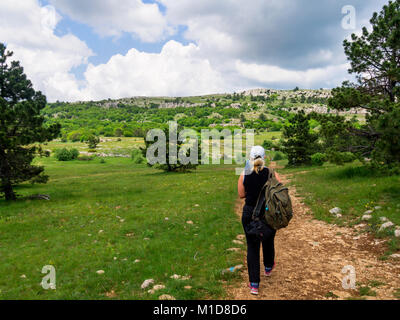 Krim, Russland - Juni 05, 2016: Touristen Spaziergang entlang eines Pfades auf dem Plateau Ai-Petri Stockfoto