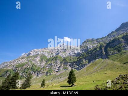 Landschaft der Alpstein und Säntis, die sind eine Untergruppe der Appenzeller Alpen in der Schweiz Stockfoto