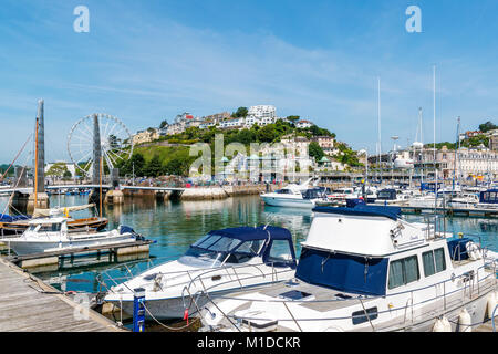 Der Yachthafen von Torquay, Devon, England, Großbritannien, Großbritannien. Stockfoto