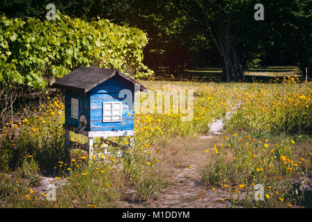 Alte hölzerne Bienenstock Colony House im Garten Stockfoto