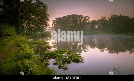 Spring Lake in Natura 2000 Naturschutzgebiet Springendal am nebligen Morgen im August Stockfoto