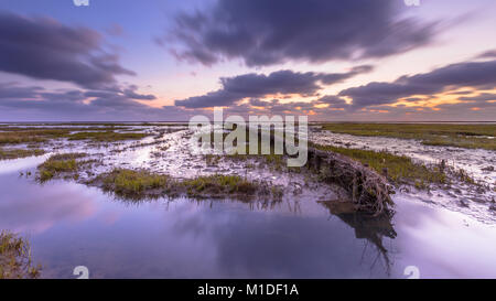 Sonnenuntergang über Gezeiten Marsh am Wattenmeer UNESCO-Welterbe Stockfoto
