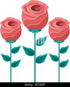 Dekoration drei rose Stammzellen Blütenblatt Blüte Blatt botanischen Vector Illustration Stock Vektor