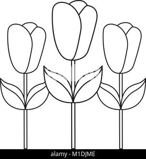 Dekoration drei rose Stammzellen Blütenblatt Blüte Blatt botanischen Vektor-illustration Grobentwurf Stock Vektor