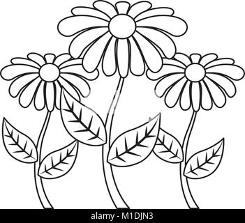 Dekoration drei rose Stammzellen Blütenblatt Blüte Blatt botanischen Vektor-illustration Grobentwurf Stock Vektor