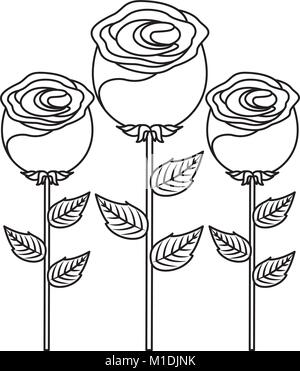 Dekoration drei rose Stammzellen Blütenblatt Blüte Blatt botanischen Vektor-illustration Grobentwurf Stock Vektor