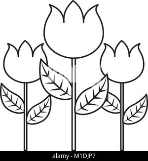 Dekoration drei rose Stammzellen Blütenblatt Blüte Blatt botanischen Vektor-illustration Grobentwurf Stock Vektor