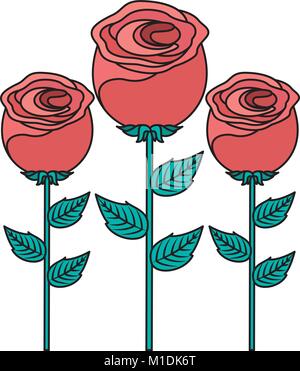 Dekoration drei rose Stammzellen Blütenblatt Blüte Blatt botanischen Vector Illustration Stock Vektor