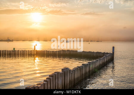 Hafen von San Diego bei Sonnenaufgang an einem nebligen Morgen gefangen. San Diego, Kalifornien, USA. Stockfoto