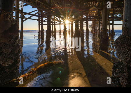 Unter Crystal Pier in Mission Beach, San Diego, Kalifornien, USA. Stockfoto