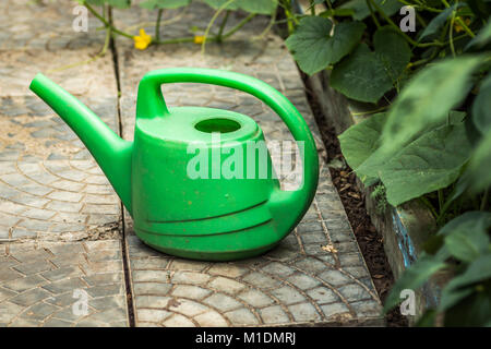 Ein grüner Kunststoff Gießkanne steht auf dem Gartenweg. Stockfoto