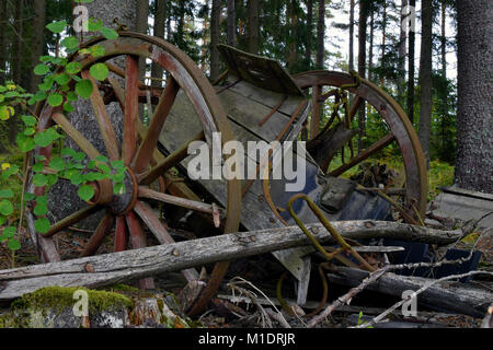 Alte kaputte und verfaulenden hölzernen Pferd Warenkorb Wald aufgegeben. Stockfoto