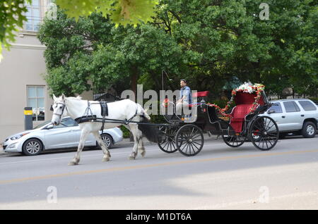 Eine leere Pferdekutsche in der Straße in San antonio Texas USA Stockfoto