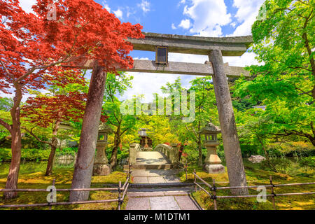 Torii Tor in Eikando Stockfoto