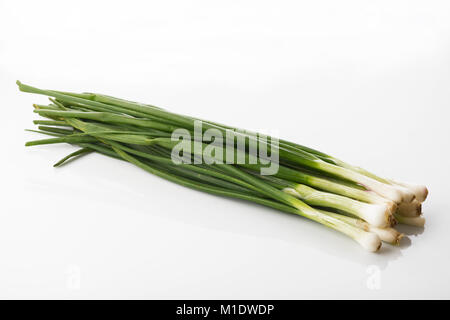 Frische grüne Feder Zwiebel isoliert auf weißem Hintergrund Schuß im Studio Stockfoto