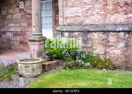 Alte Blumentöpfe, Blumen und Farnen, der von einer Steinmauer eines Hauses Stockfoto