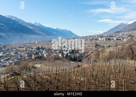 Weinberge Sondrio eine italienische Gemeinde im Herzen der Wein produzierenden Valtellina Region - Bevölkerung 20.000 Stockfoto