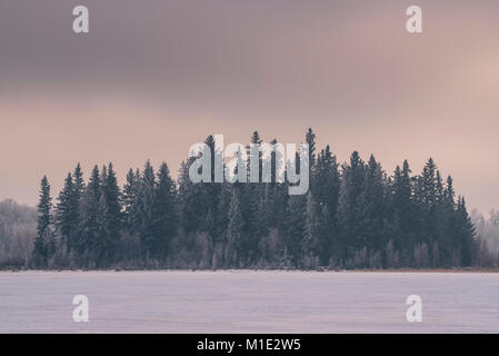 Rosa Sonnenuntergang und Nebel über gefrorenen See in frischem Schnee im Winter in der kanadischen Wildnis, Elk Island National Park, Alberta, Kanada Stockfoto