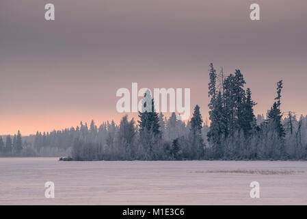 Rosa Sonnenuntergang und Nebel über gefrorenen See in frischem Schnee im Winter in der kanadischen Wildnis, Elk Island National Park, Alberta, Kanada Stockfoto