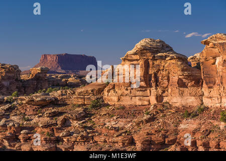 Felsige Landschaft gesehen von Big Spring Canyon Overlook im Needles District des Canyonlands National Park, Utah, USA Stockfoto