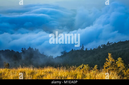 Dichte Wolken unter der Spitze einer Kante des Gunung Rinjani Vulkan in Lombok, Indonesien Stockfoto