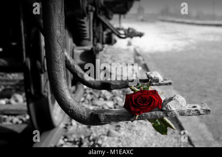 Schwarz-weiß Bild von Eisenbahnwagen mit Rose [in Sonderfarbe Rot] auf rostigen Fuß-Platte mit unscharfen Auschwitz II-Birkenau Eingangstor. Stockfoto