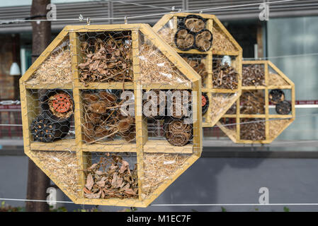 Bienen und Insekten Haus aus Holz und natürlichen Materialien, die in einer Stadt gemacht. Stockfoto