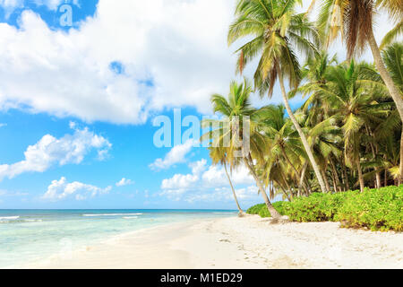 Urlaub in der Dominikanischen Republik Stockfoto