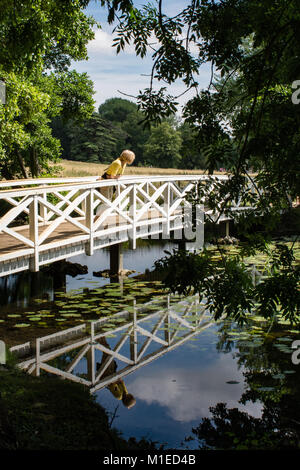 Eine Frau in einem gelben Top ruht auf dem Geländer einer hölzernen Brücke über Wasser, umgeben von Bäumen, bei Stowe Landscape Gardens fotografiert gerahmt Stockfoto