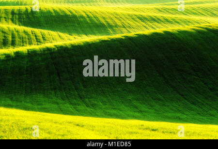 Frühling Feld. malerische hügelige Gebiet. landwirtschaftlichen Feld im Frühling Stockfoto