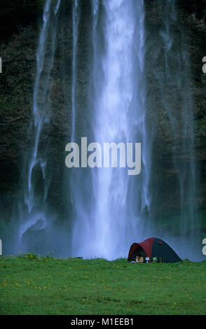 Island. Seljalandsfoss. Liegende Frau in Zelt lesen Buch, der Wasserfall Seljalandsfoss im Hintergrund. Camping Stockfoto