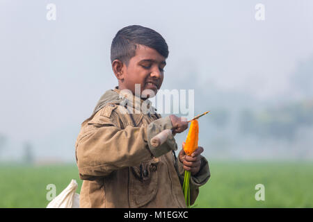 Ein Dorf junge waschen Karotte in ein Messer für Essen Zweck in Savar, Bangladesh. Stockfoto