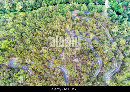 Remote Wicklung drehen Straße durch Gummi-tree Wälder bedecken Berowra Creek in Antenne Overhead von Oben nach Unten Blick an einem sonnigen Sommertag mit Autos fahren. Stockfoto