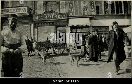 Eine Reise in den Orient; die Geschichte einer Mittelmeerkreuzfahrt (1907) (14784803442) Stockfoto