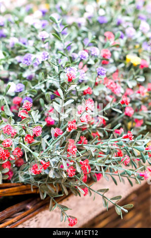 In der Nähe von kleinen künstliche Blumen. Stockfoto