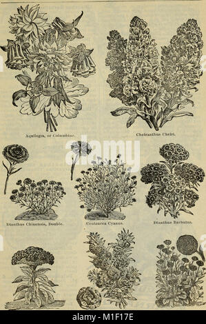 Almanach und Garten Handbuch für die südlichen Staaten der J. Steckler Seed Co., Ltd., (1899) (20384911168) Stockfoto