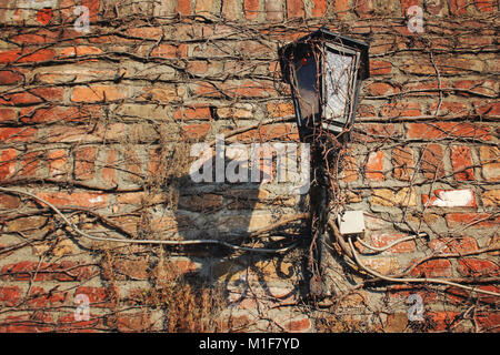 Gotische alte Straßenlaterne Stockfoto