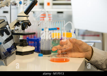 Mikrobiologe im Labor mit Petrischalen und Pipette arbeiten Stockfoto