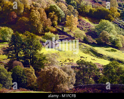 Ein Herbst Blick auf Swaledale in den Yorkshire Dales, England, UK. Stockfoto