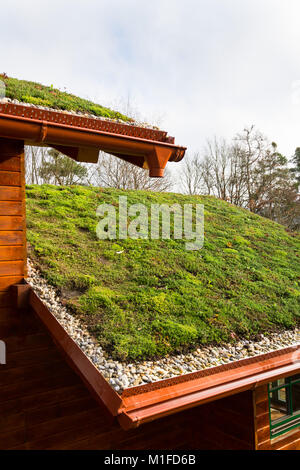 Holzhaus mit umfangreichen green living Dach mit Vegetation bedeckt Stockfoto